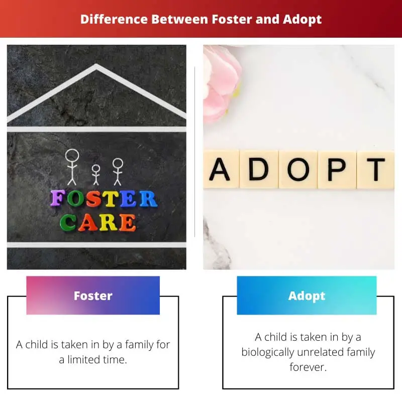 Difference Between Foster and Adopt