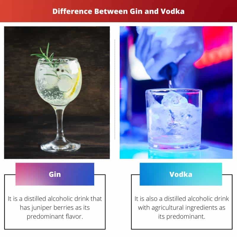 Gin Vs Vodka Difference And Comparison 4585