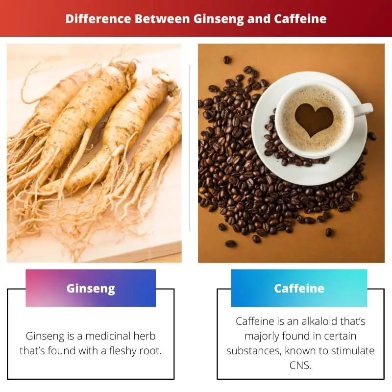 Difference Between Ginseng and Caffeine