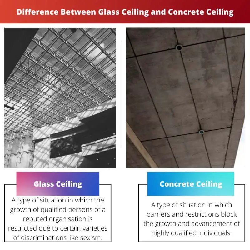 Difference Between Glass Ceiling and Concrete Ceiling