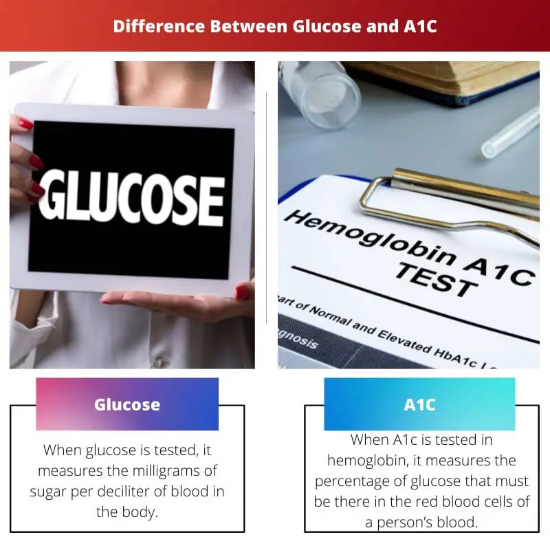 Difference Between Glucose and A1C