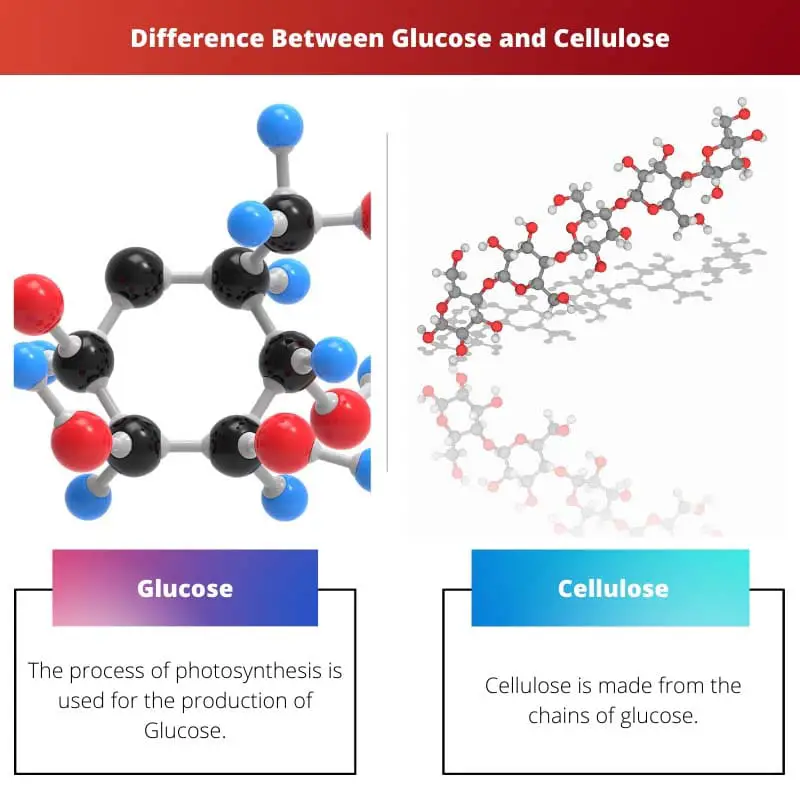 Difference Between Glucose and Cellulose