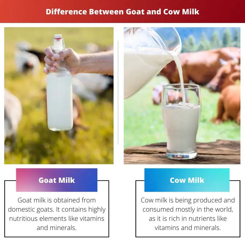 Difference Between Goat and Cow Milk
