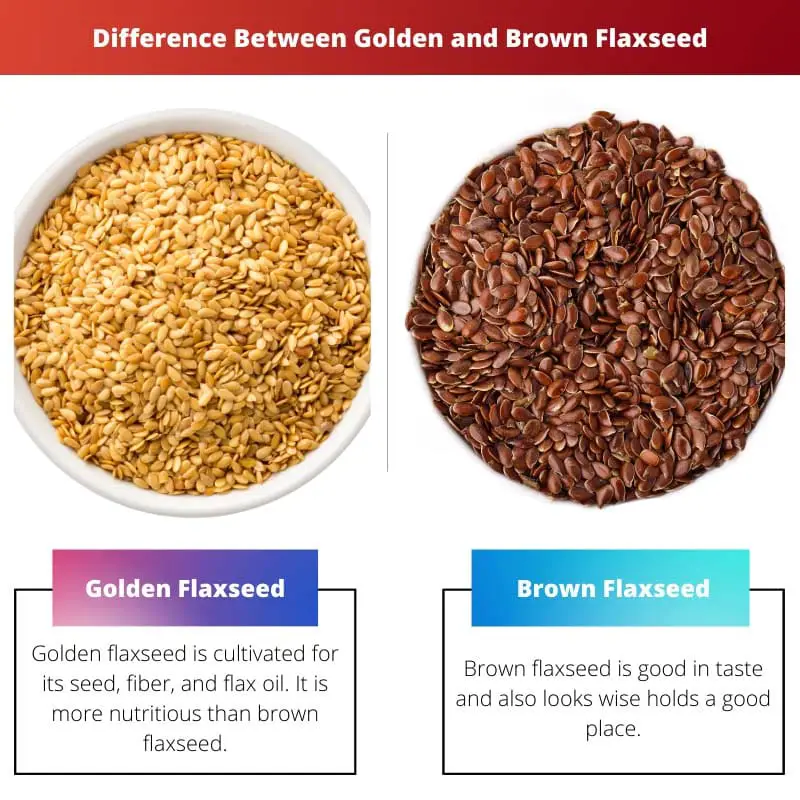 Difference Between Golden and Brown