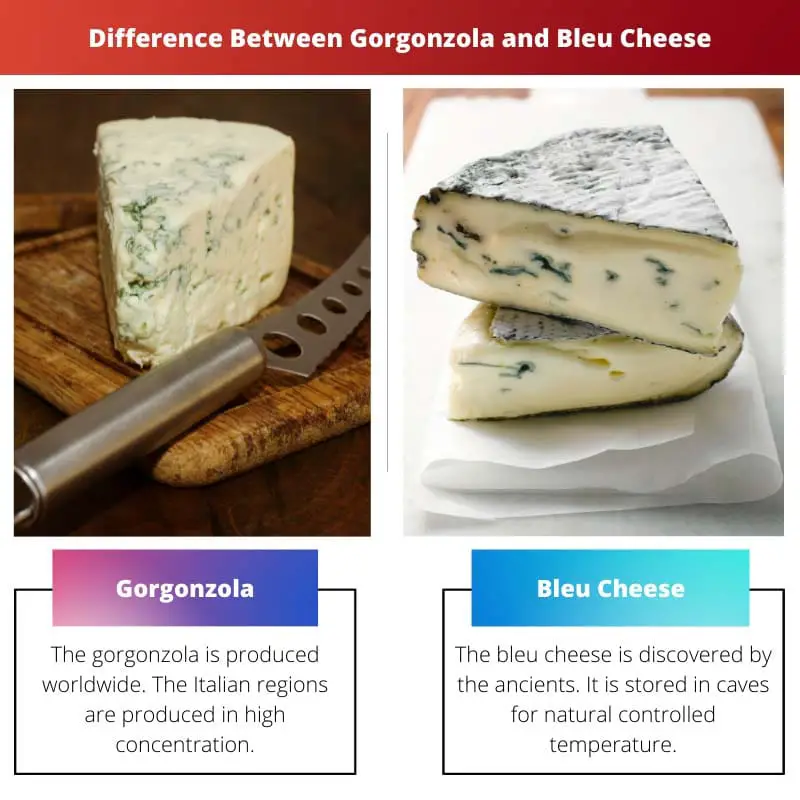 Difference Between Gorgonzola and Bleu Cheese
