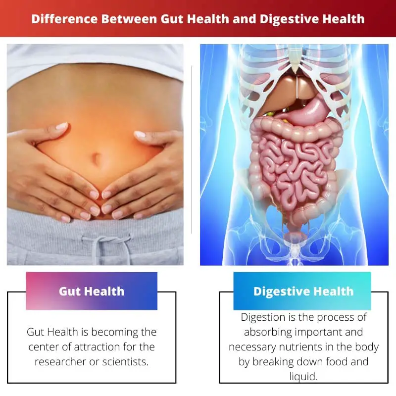 Difference Between Gut Health and Digestive Health