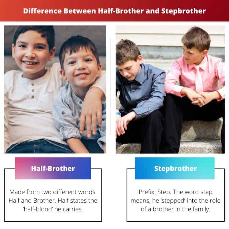 difference-between-half-brother-and-stepbrother