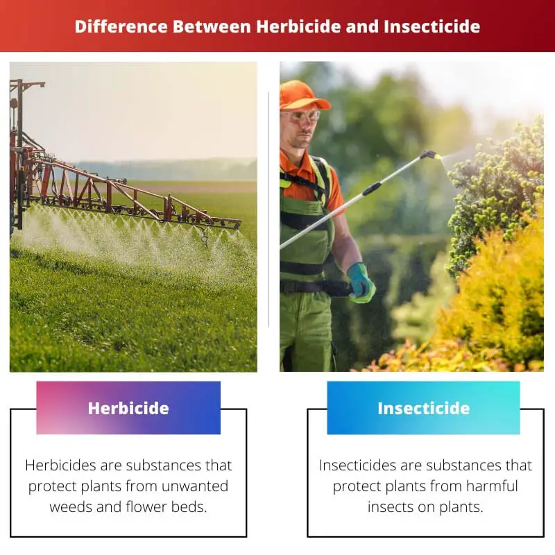 Difference Between Herbicide and Insecticide