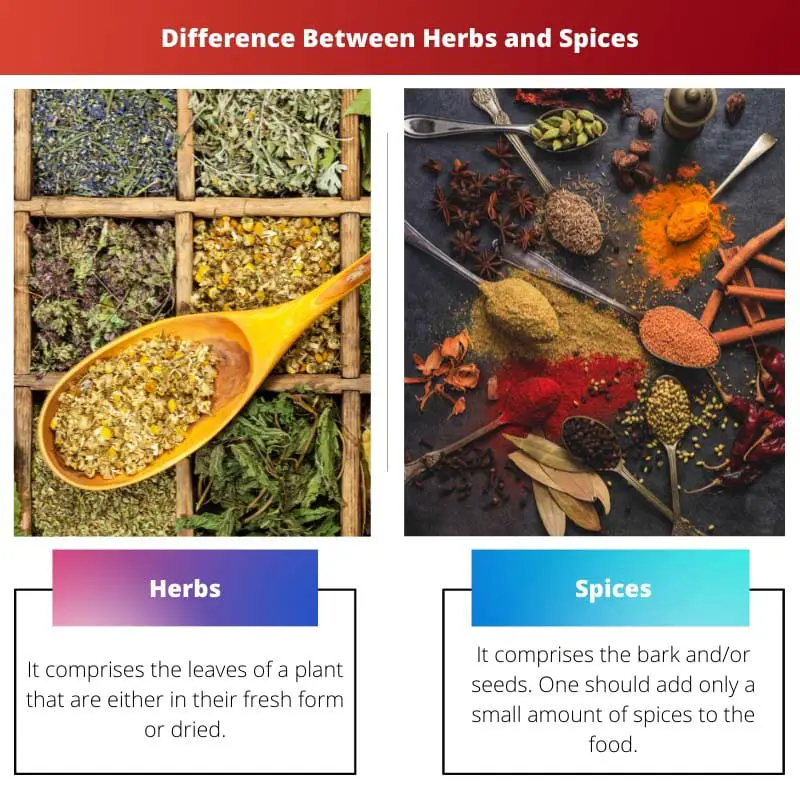 Difference Between Herbs and Spices