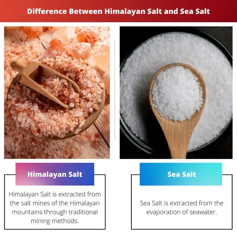 Difference Between Himalayan Salt and Sea Salt