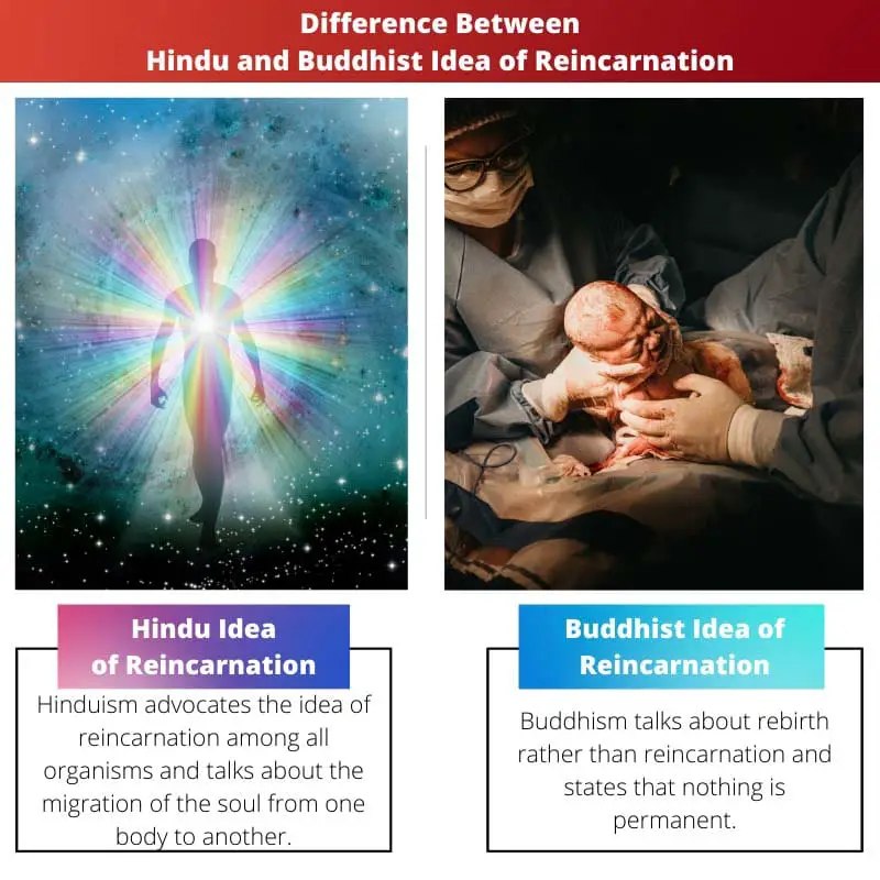 Difference Between Hindu and Buddhist Idea of Reincarnation