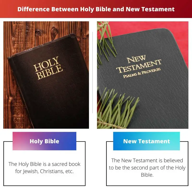 Difference Between Holy Bible and New Testament