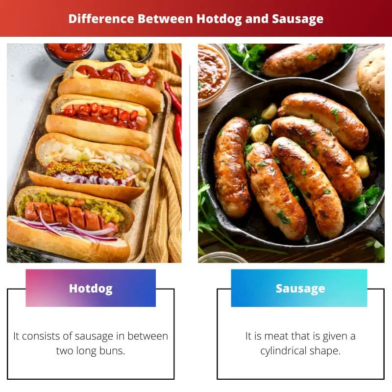 Difference Between Hotdog and Sausage