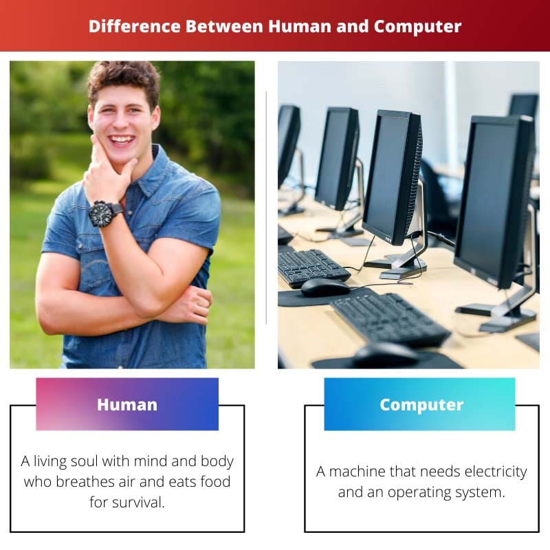 Difference Between Human and Computer