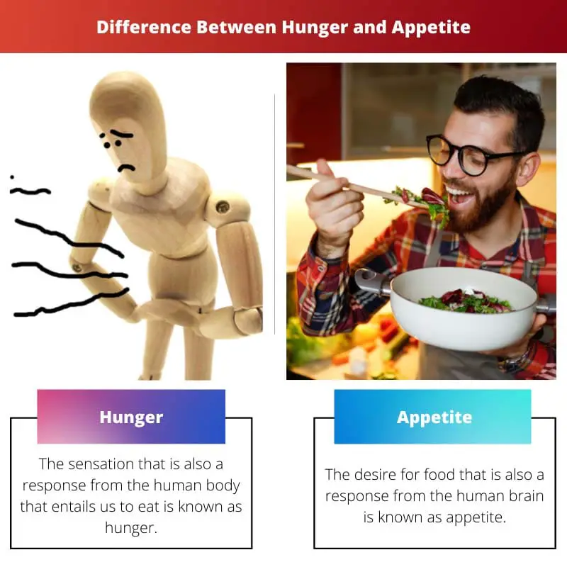 Difference Between Hunger and Appetite