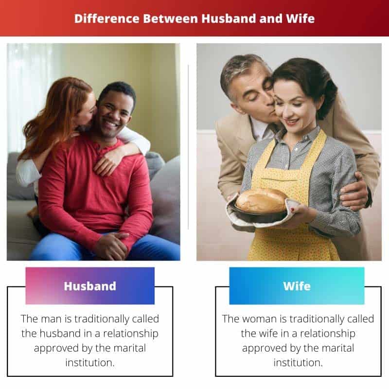 Husband Vs Wife Difference And Comparison 2109