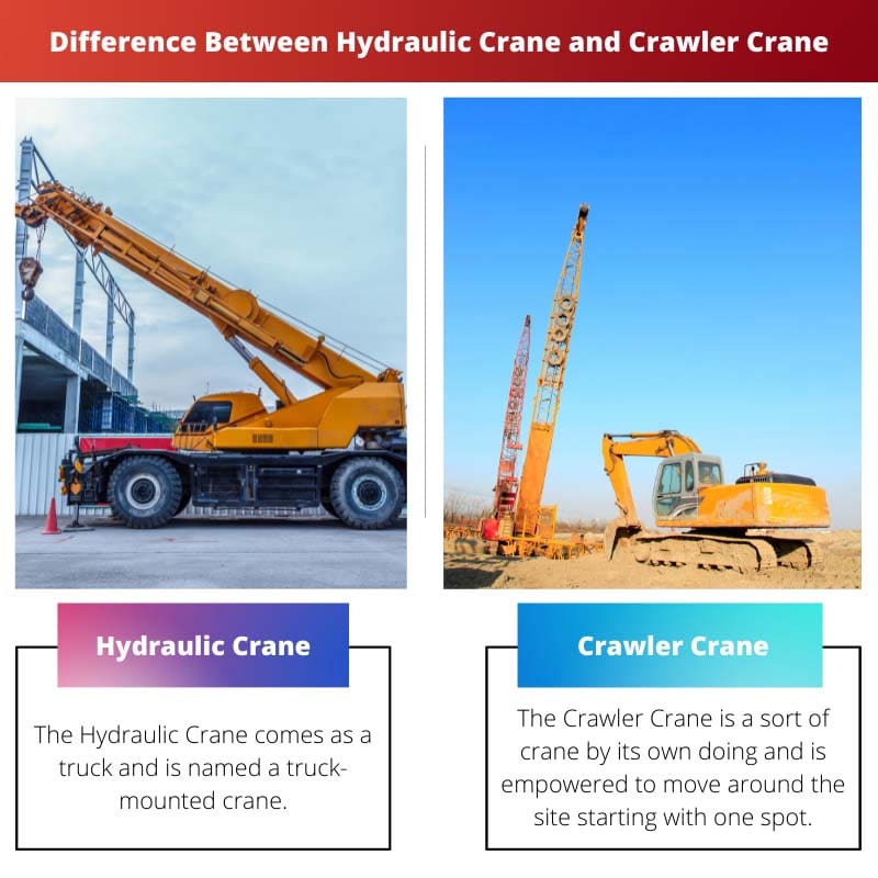 Difference Between Hydraulic Crane and Crawler Crane
