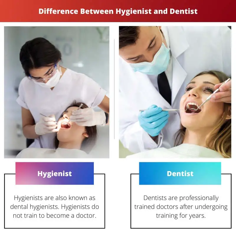 Difference Between Hygienist and Dentist