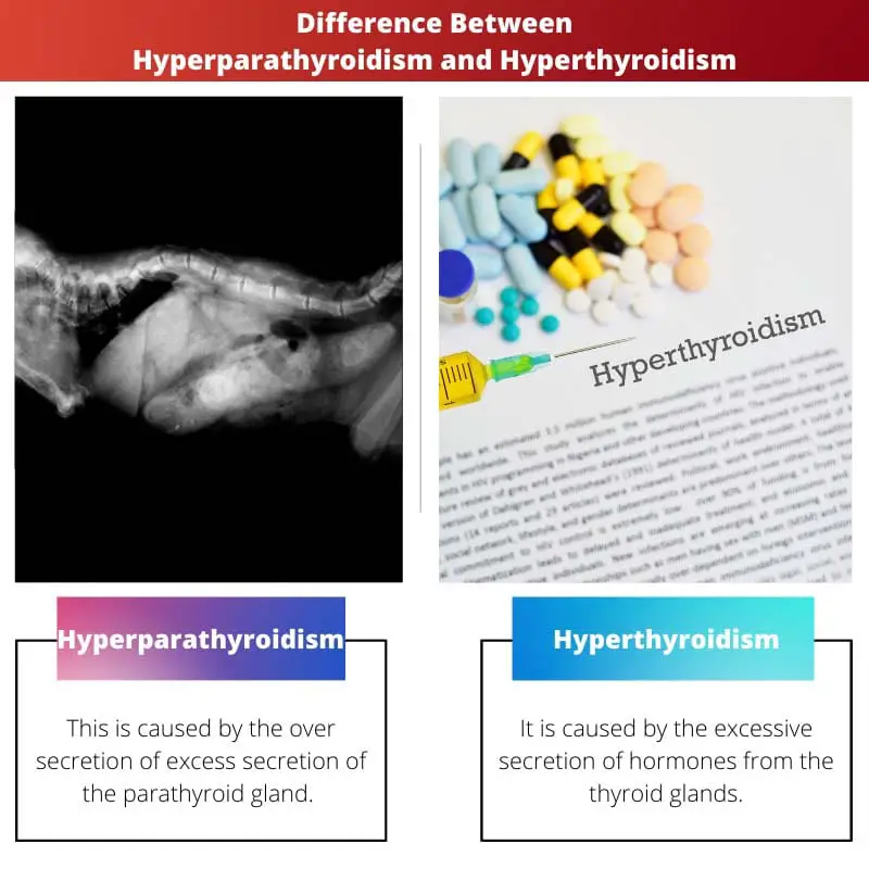 Difference Between Hyperparathyroidism and Hyperthyroidism