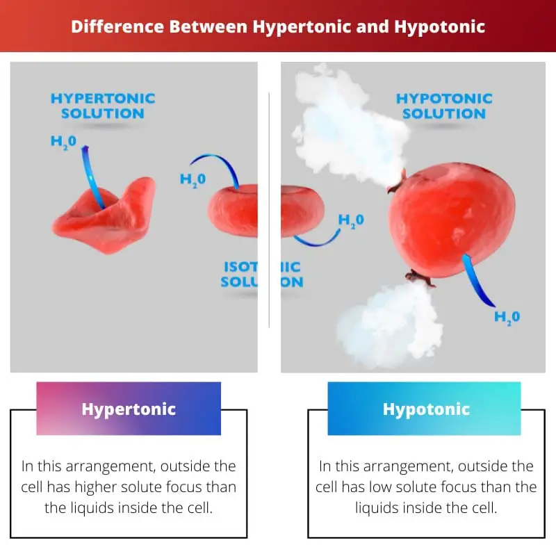 Difference Between Hypertonic and Hypotonic