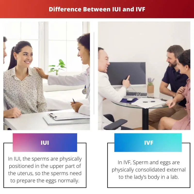 Difference Between IUI and IVF