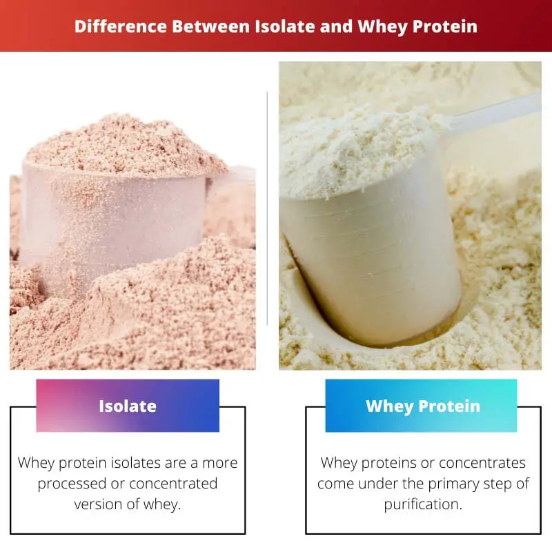 Difference Between Isolate and Whey Protein