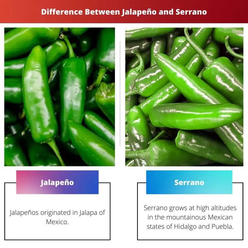 Difference Between Jalapeno and Serrano