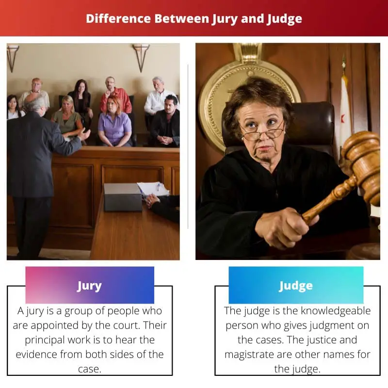 Difference Between Jury and Judge