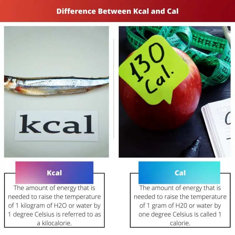 Difference Between Kcal and Cal