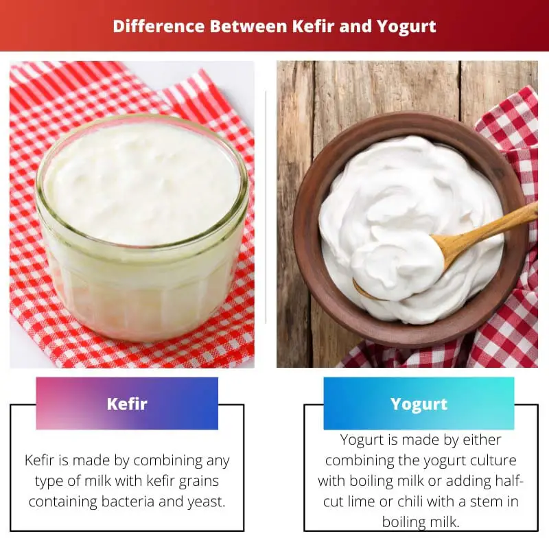 Difference Between Kefir and Yogurt