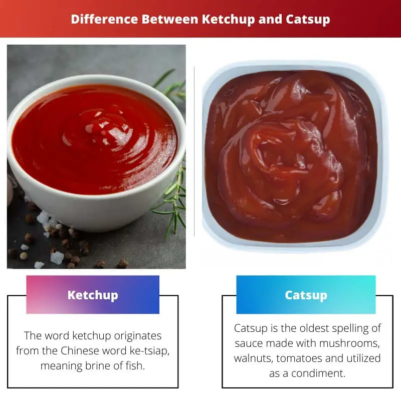 Difference Between Ketchup and Catsup