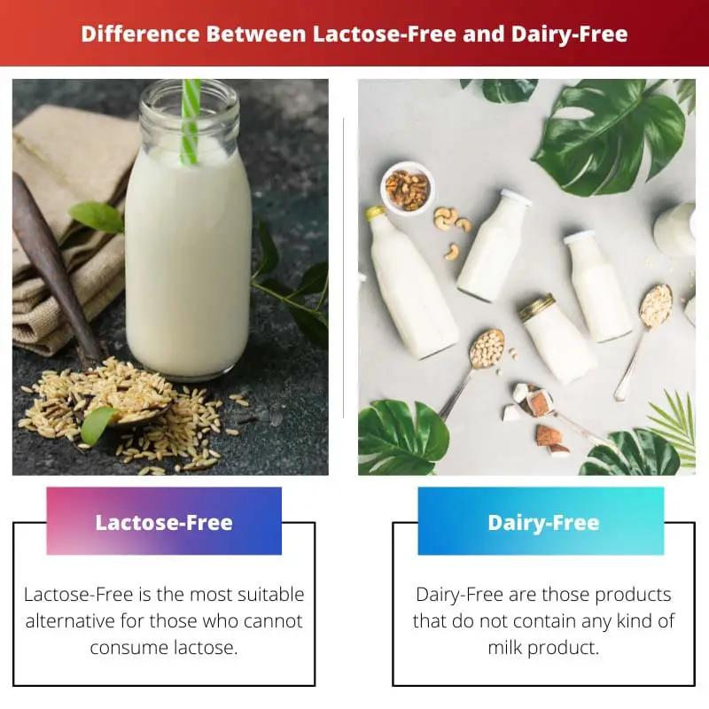Difference Between Lactose Free and Dairy Free
