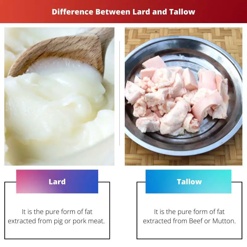 Difference Between Lard and Tallow
