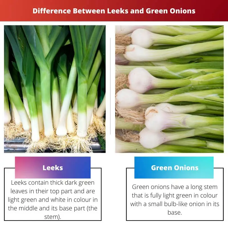 Difference Between Leeks and Green Onions