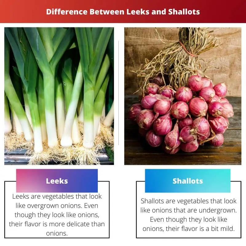 Difference Between Leeks and Shallots
