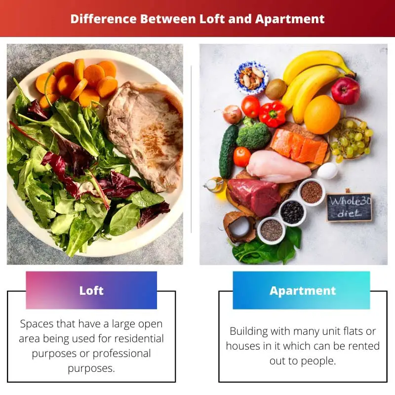 Difference Between Loft and Apartment