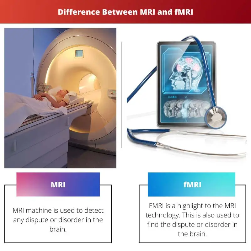 Difference Between MRI and fMRI