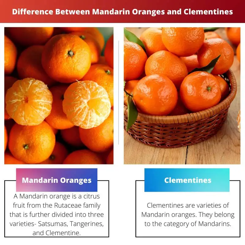 Difference Between Mandarin Oranges and Clementines