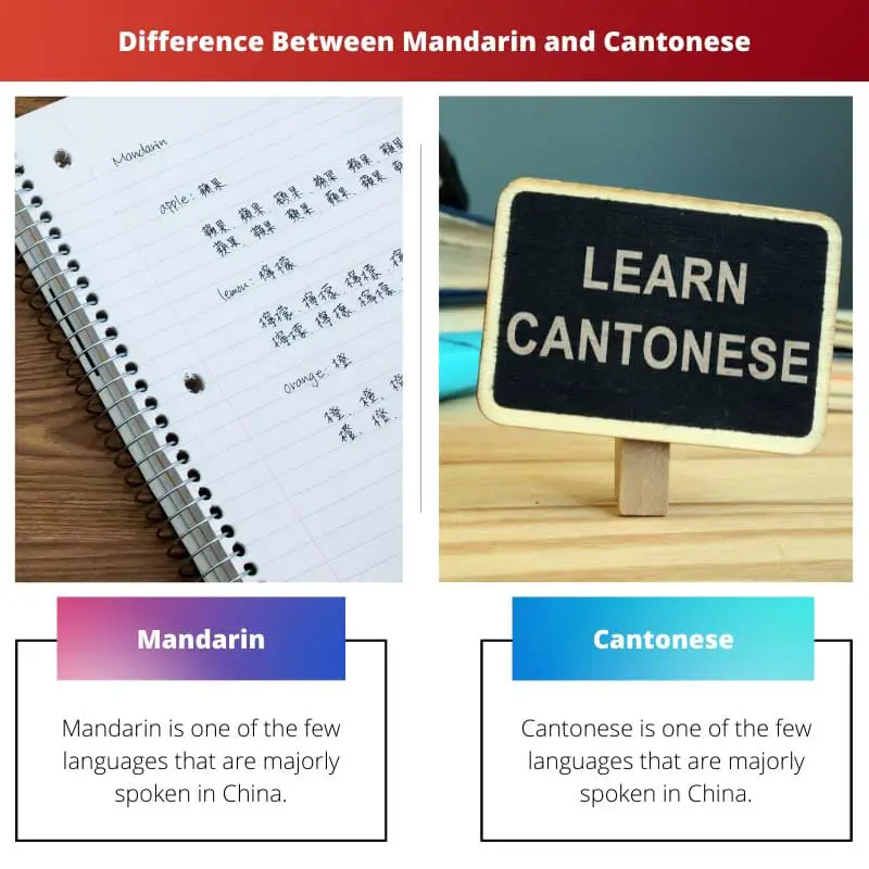 Difference Between Mandarin and Cantonese