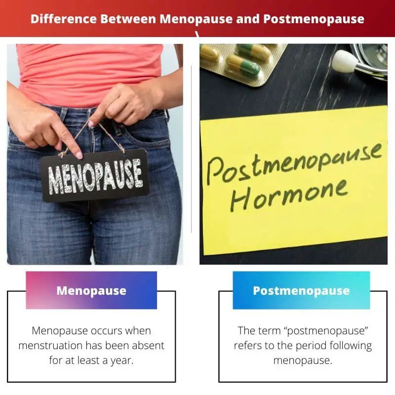 Difference Between Menopause and Postmenopause
