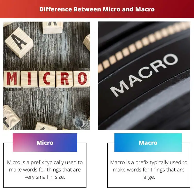 Difference Between Micro and Macro
