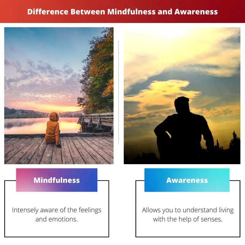 Difference Between Mindfulness and Awareness