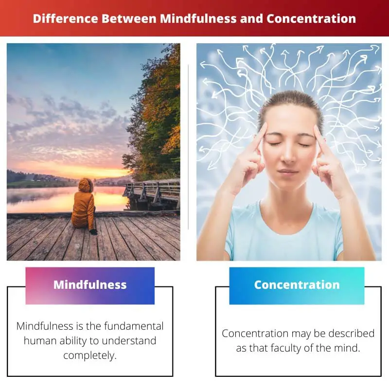 Difference Between Mindfulness and Concentration