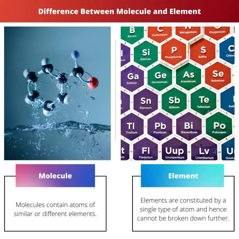 Difference Between Molecule and Element