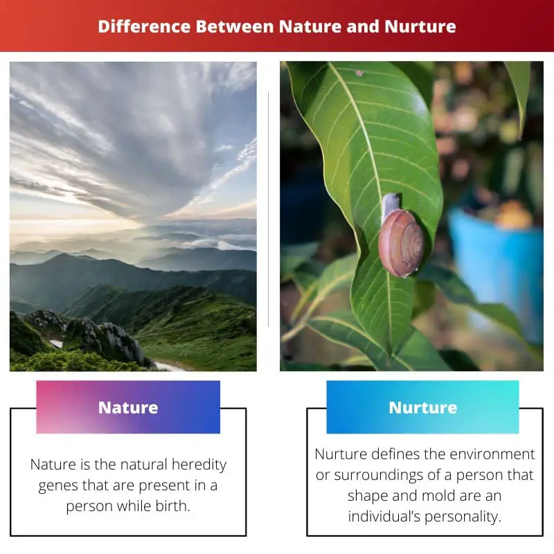 Difference Between Nature and Nurture