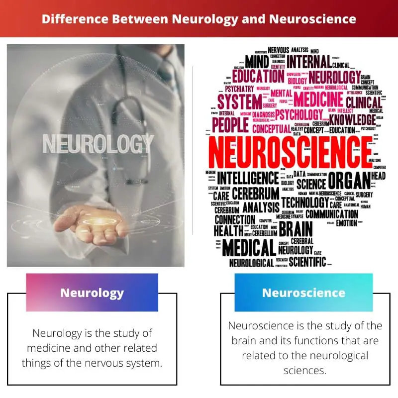 Difference Between Neurology and Neuroscience