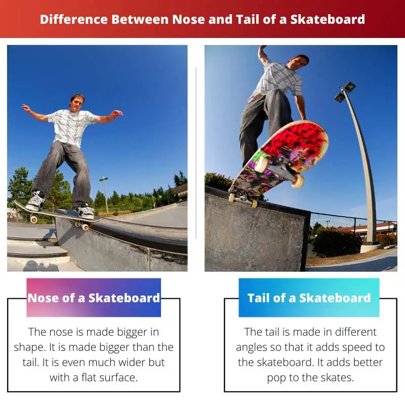 Difference Between Nose and Tail of a Skateboard