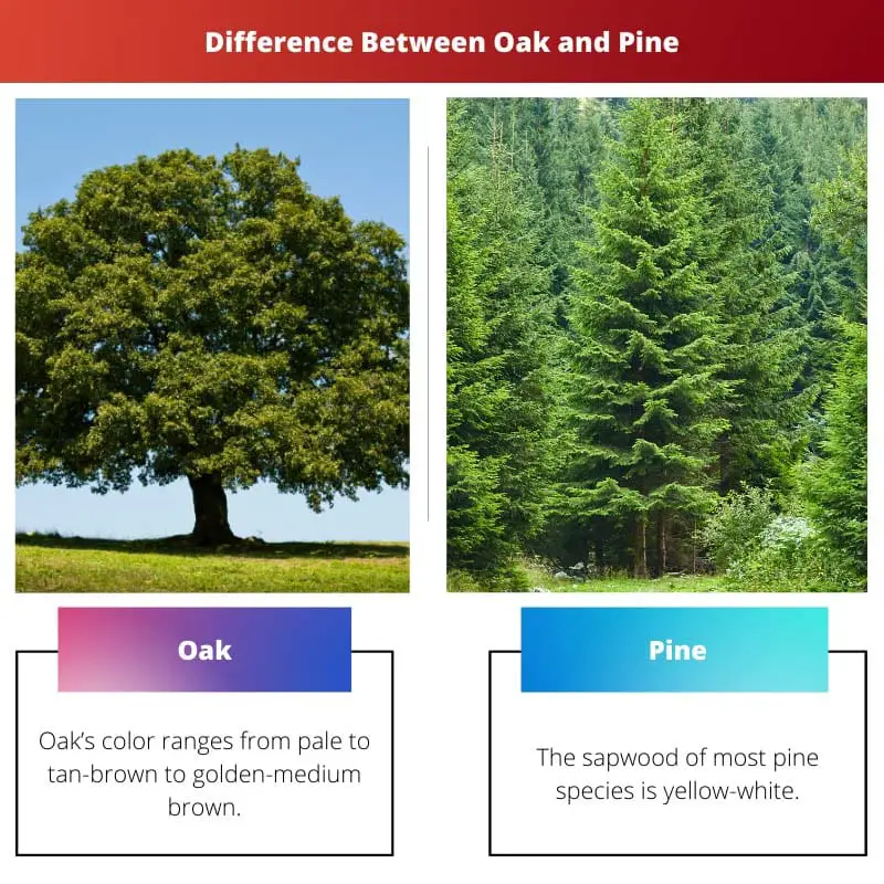 Difference Between Oak and Pine