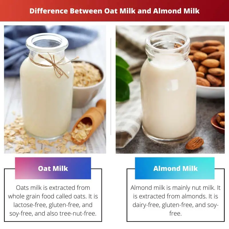 Difference Between Oat Milk and Almond Milk