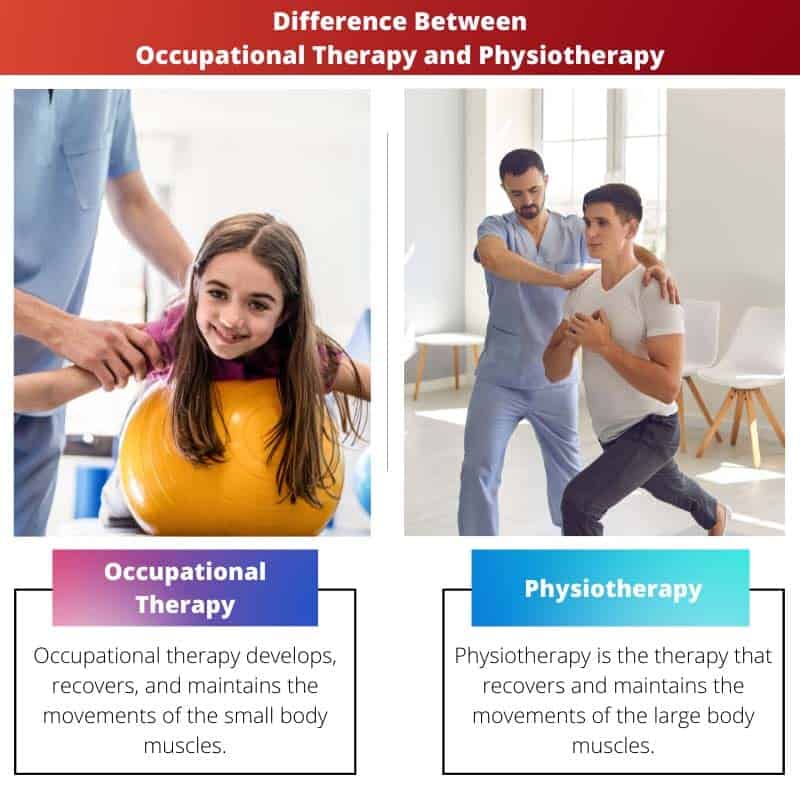 occupational-therapy-vs-physiotherapy-difference-and-comparison